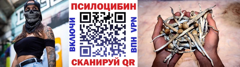 Купить закладки  Чайковский  Псилоцибиновые грибы Cubensis 