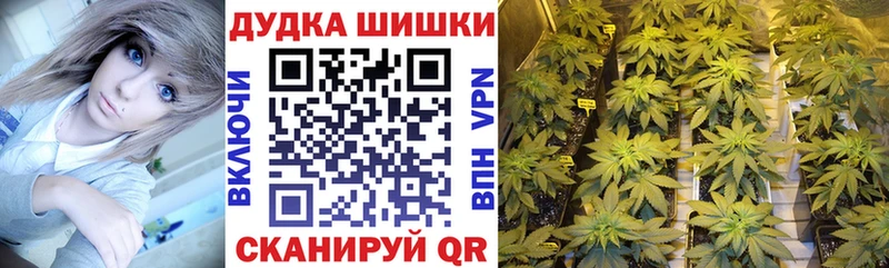 Купить закладки  Чайковский  Бошки марихуана план 
